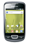 Samsung Galaxy Mini Gray