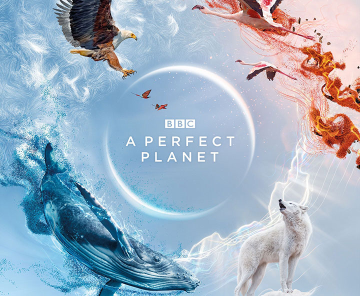 bbc